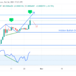 Prediction of further drops in Shiba Inu coin prices