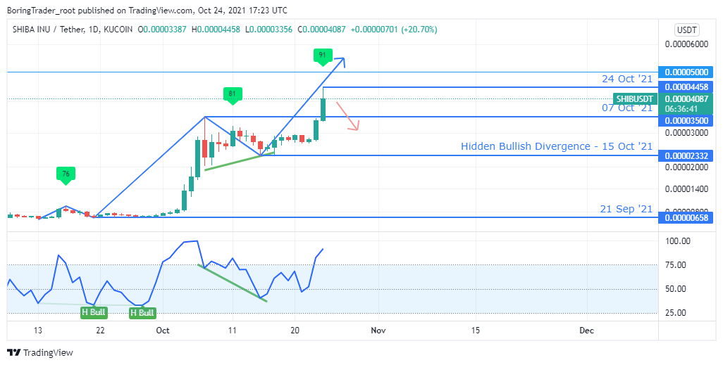 Prediction of further drops in Shiba Inu coin prices