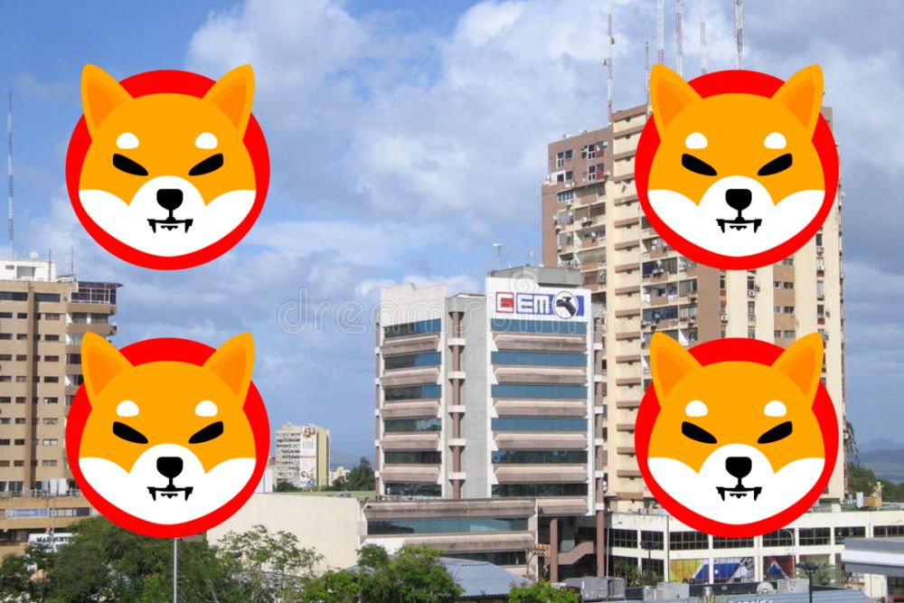 Shiba Inu (SHIB) Now Accepted In Over 170 Countries and 60 Million Businesses Via OKSE Crypto Card