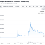 Shiba Inu celebrates its second anniversary, having launched in August 2020, with an initial outstanding supply of one quadrillion chips