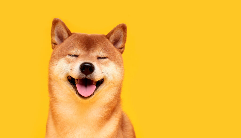 The Shiba Inu comeback: Can the SHIB reach $1?