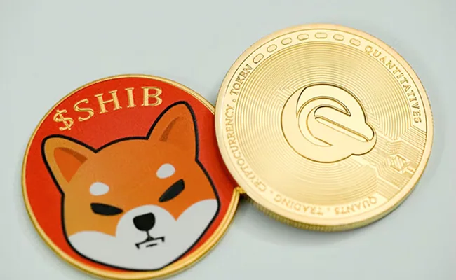 Saudi Shiba Inu Vs Tamadoge Meme Coin: Where To Invest?