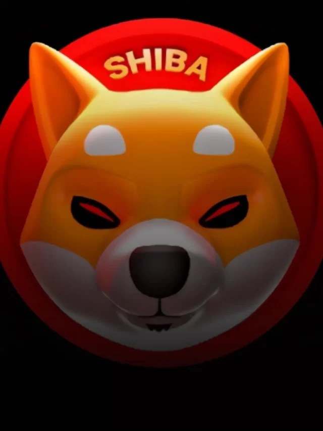 Increasing Shiba Inu Ecosystem Can Take SHIB Price to $0.001 – David Gokhshtein