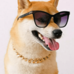 Shiba Inu Burn Rate Spikes 130% – Clout News