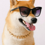 Shiba Inu's Welly Becomes Top-Rated Fast-Food Store On Uber Eats – Clout News