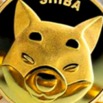 Over 5.3 Billion Shiba Inu Tokens Burned Since July – Clout News