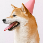 Shiba Inu Social Mentions Reach A New High In 3 Months – Clout News