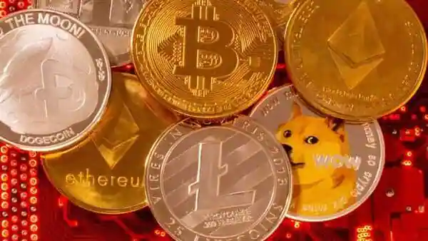 Cryptocurrency prices today plunge as Bitcoin falls below $25,000; ether, Shiba Inu dip over 6%