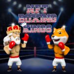 Defi Kings Announces Plans to Enter $60B Online Gaming Market, Incorporate Shiba Inu Crypto Token Mascot Into It