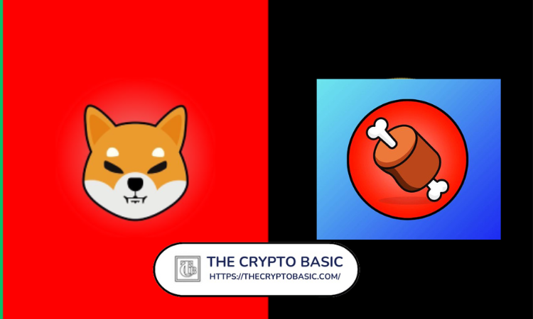 Shiba Inu And BONE Becomes Top Trending Coins in Asia, USA, and Canada