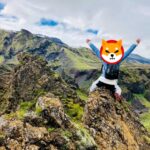 Shiba Inu Takes Lead Over Dogecoin As Its Twitter Followers Increase