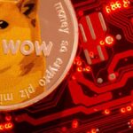 Shiba Inu, Doge Prices Tank Double Digits, XRP & BNB Close behind