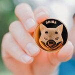 Shiba Inu slips to 13th position following market crash