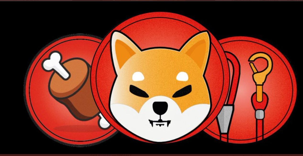 Shiba Inu’s Kusama Reveals Crucial Details About TREAT Token Ahead Of Shibarium’s Public Beta Launch