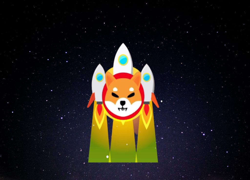 Has Shiba Inu Been Reaching For The Stars? Here’s What It Means