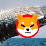 Shiba Inu Surges Over 30% As Whale Activities Tap 4-Month High