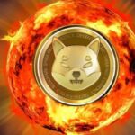 SHIB’s Kusama Has Massive Plan For Shiba Burn, Could Help Community Destroy Over 100T Tokens Annually