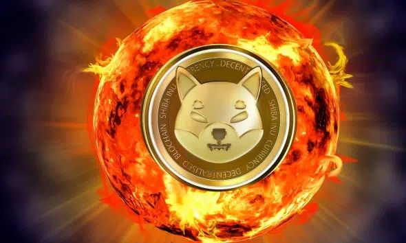 SHIB’s Kusama Has Massive Plan For Shiba Burn, Could Help Community Destroy Over 100T Tokens Annually