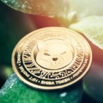 Shiba Inu: SHIB’s Burn Rate and Binance Factor to Zero in On