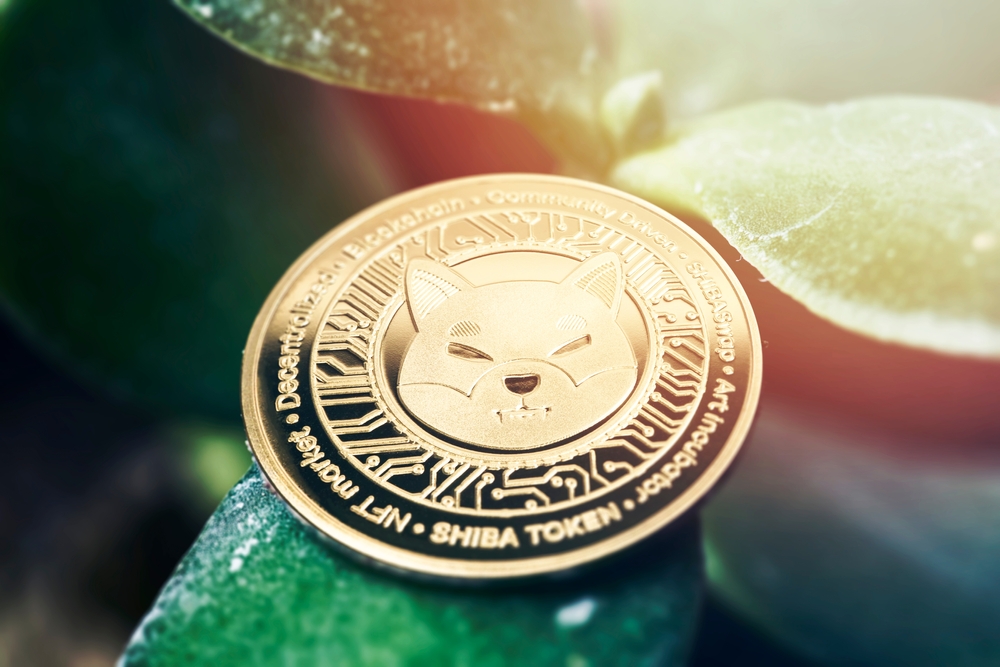 Shiba Inu: SHIB’s Burn Rate and Binance Factor to Zero in On