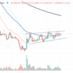 Shiba Inu Displays Surprising Price Movement – Can SHIB Ditch The Flatline?