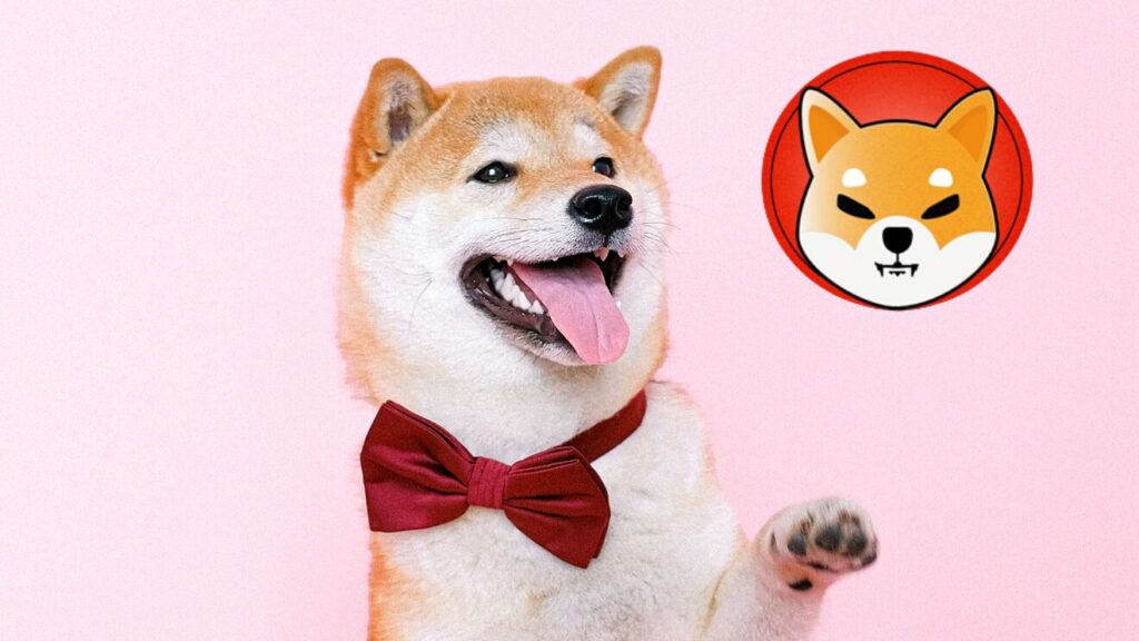 Shiba Inu is Held For Longer than Bitcoin, Ethereum on Coinbase