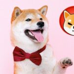 Shiba Inu is Held For Longer than Bitcoin, Ethereum on Coinbase