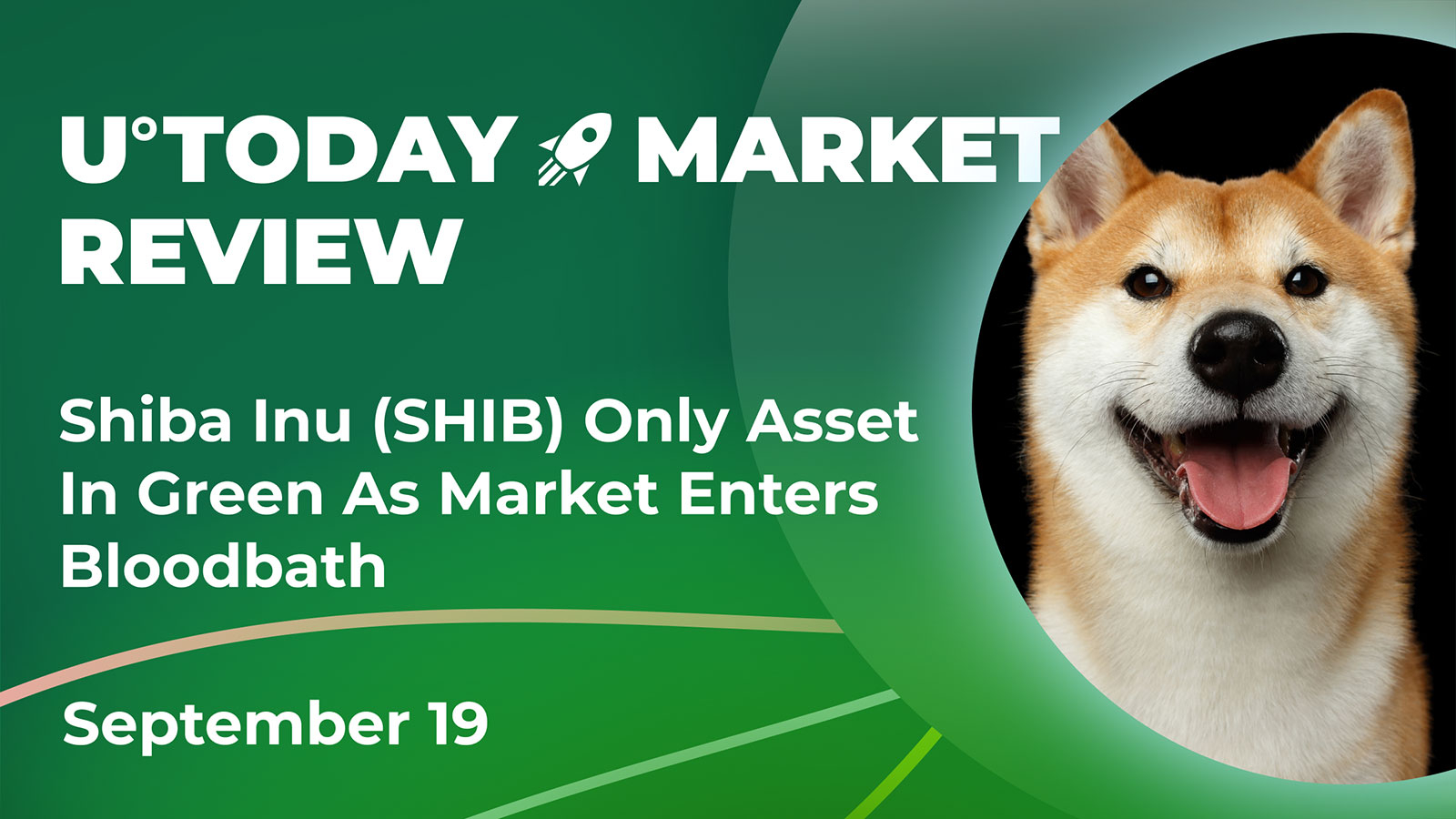 Crypto Market Review, September 19