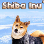 A Summer with the Shiba Inu – PC — Green Man Gaming