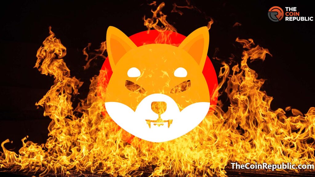 Shiba Inu Burn Focusing Mobile App Alexa Skill Launched – – The Coin Republic