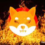 Shiba Inu Burn Focusing Mobile App Alexa Skill Launched – – The Coin Republic