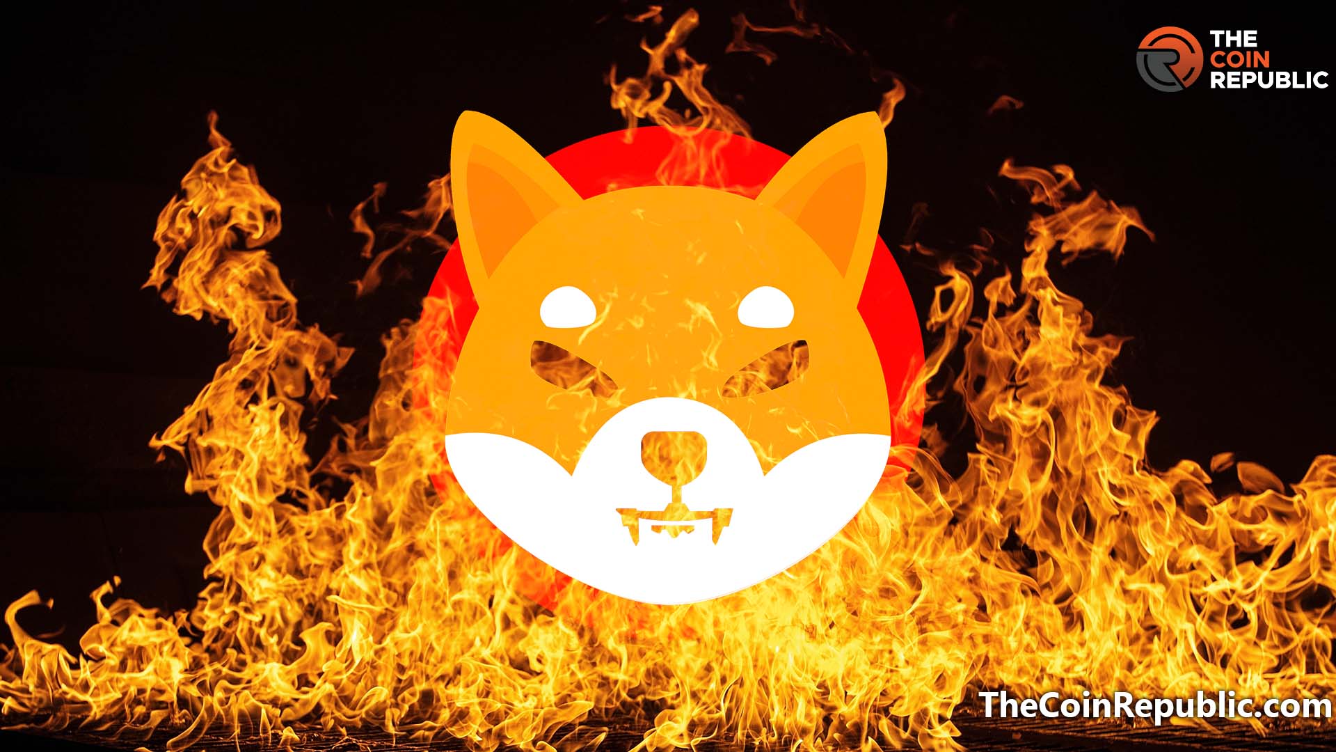 Shiba Inu Burn Focusing Mobile App Alexa Skill Launched – – The Coin Republic