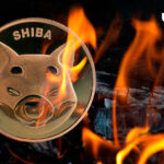 Shiba Inu Records 3.6 Billion SHIB Burned in August with Only 59% of Initial Supply Left