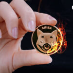 Shiba Inu Lead Developer Provides Important Update on SHIB Burning Mechanism