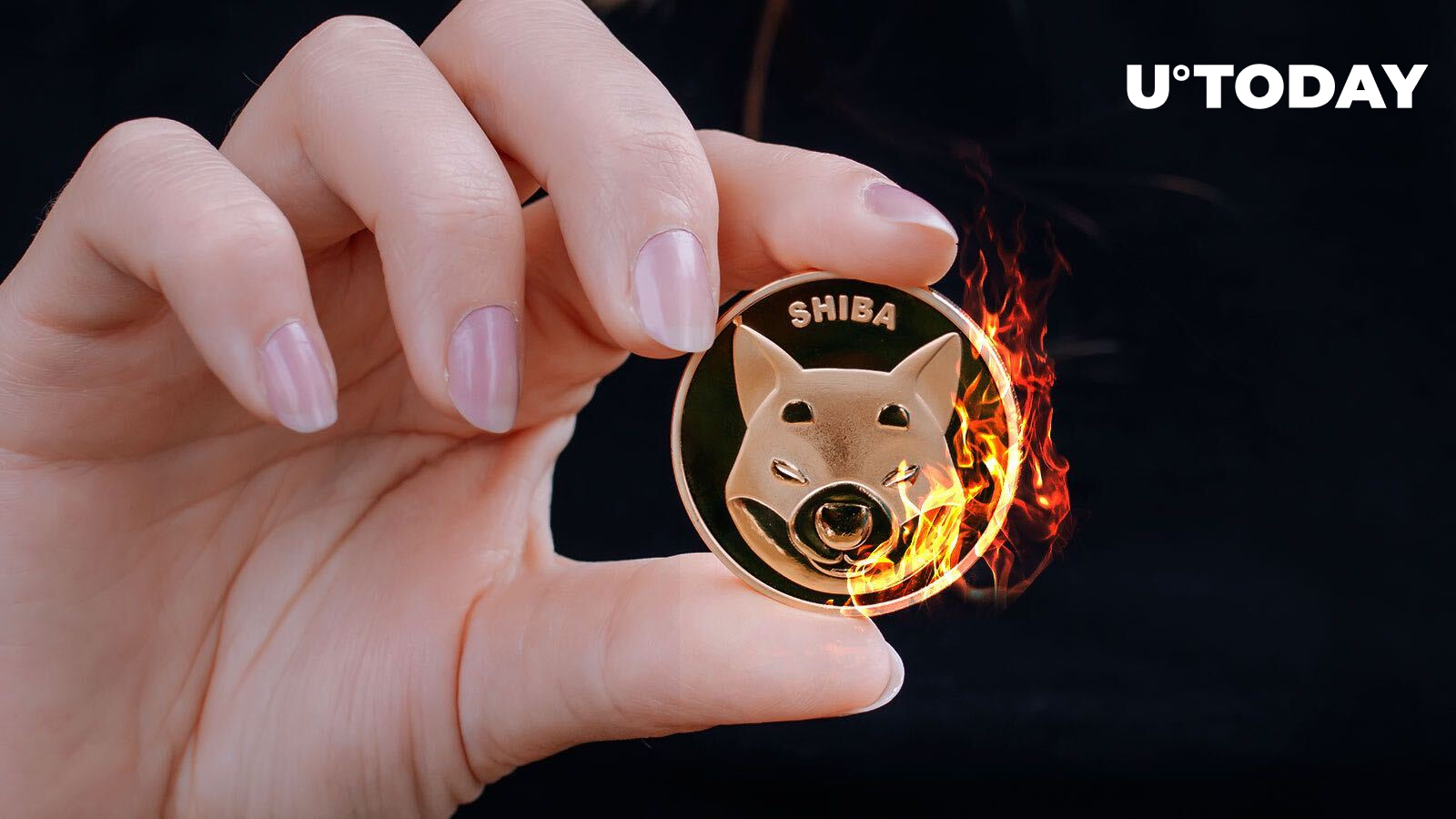 Shiba Inu Lead Developer Provides Important Update on SHIB Burning Mechanism