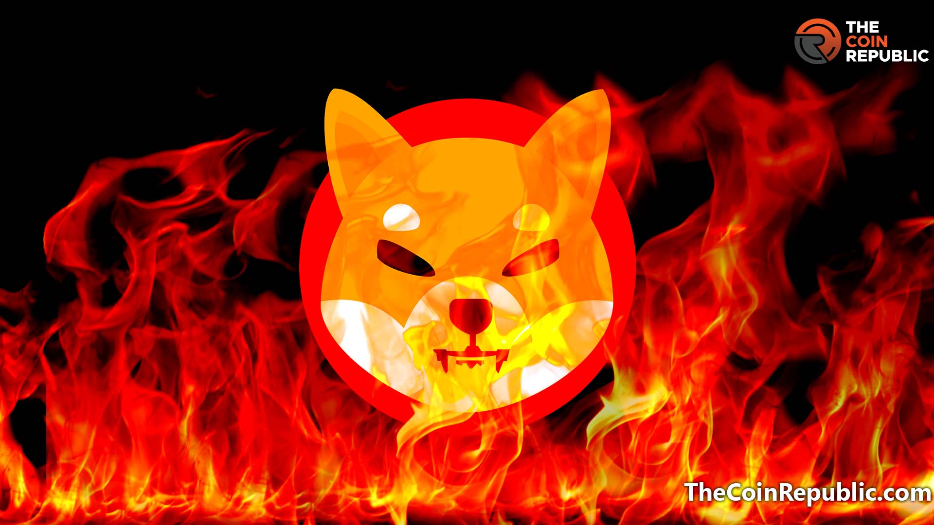 Shiba Inu Noted its Burn Rate Spike 888%, this Sunday – – The Coin Republic