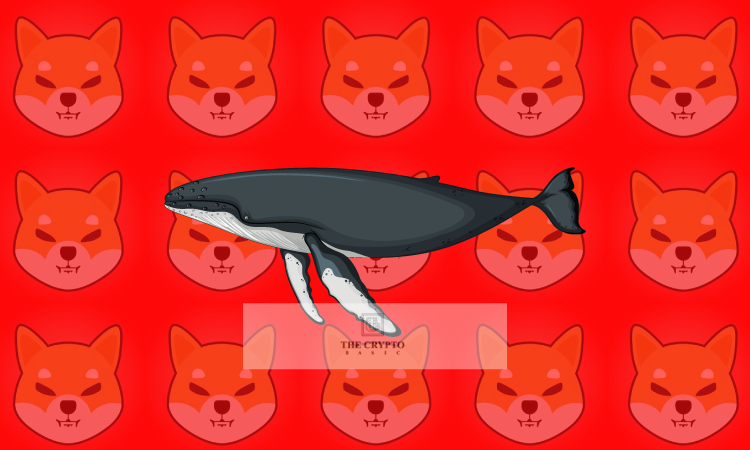 Top Ethereum Whale “Galion” Adds 272 Billion Shiba Inu (SHIB)