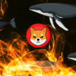 Single Wallet Burns 76M Shib, While Shiba Inu Becomes Top Purchased Crypto Among ETH whales