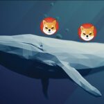 Whale Buys 3.37 Trillion Shib in One Transaction