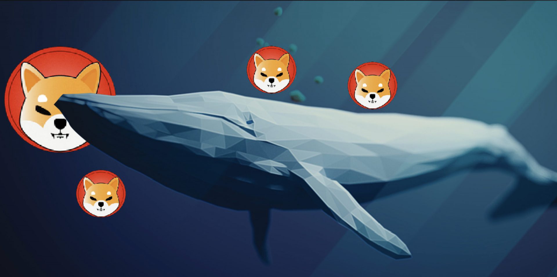 Whale Buys 3.37 Trillion Shib in One Transaction