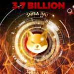 3.7 Billion $SHIB Burnt in August by Shiba Inu Community –