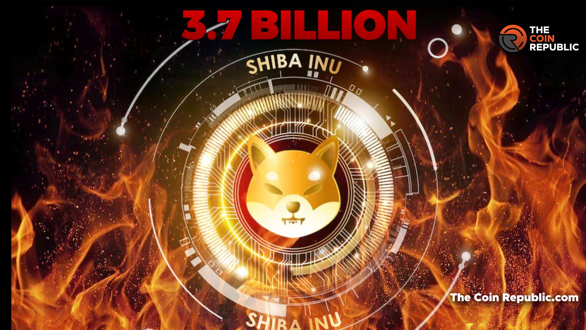 3.7 Billion $SHIB Burnt in August by Shiba Inu Community –