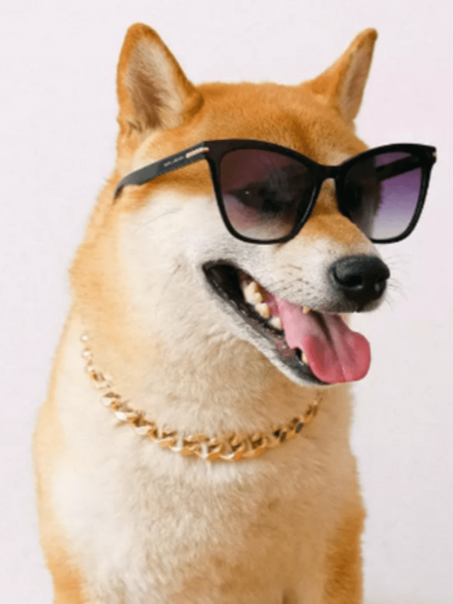 Shiba Inu Crypto Witnesses Price Recovery As Huge Ethereum Whale Adds 4.5 Trillion SHIB