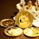 How To Buy Shiba Inu (SHIB) In Australia – Forbes Advisor Australia