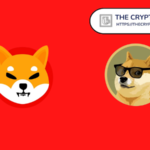 Former US Congressional Candidate Says It Is Fine To Hold Both Shiba Inu And Dogecoin