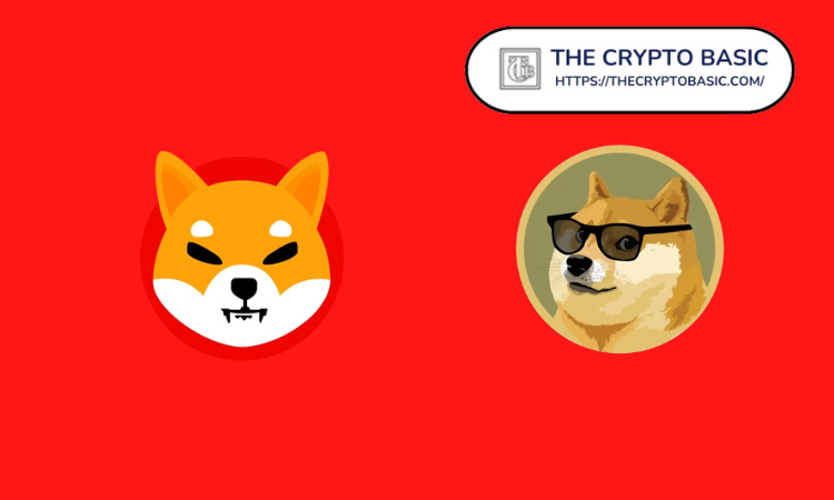 Former US Congressional Candidate Says It Is Fine To Hold Both Shiba Inu And Dogecoin