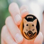 Shytoshi Kusama Gives This Update On SHIB Burn