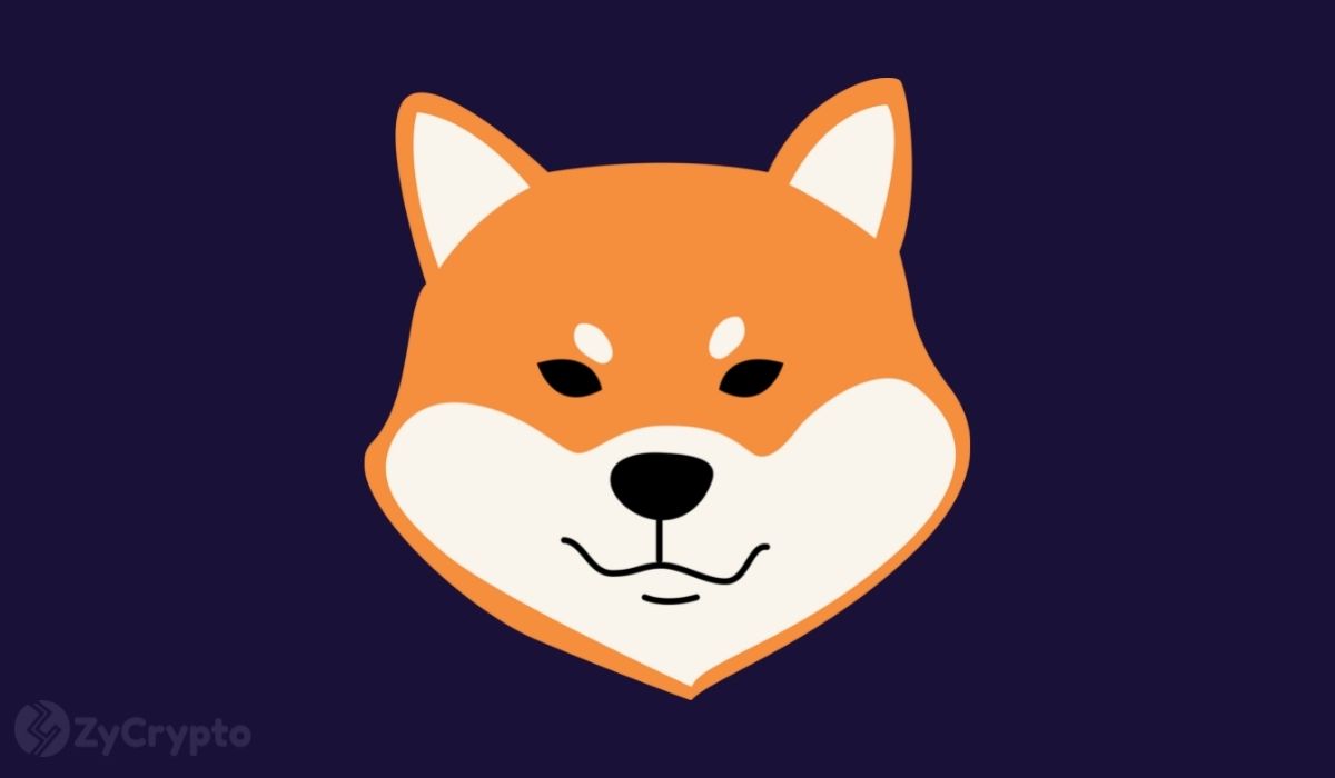 Why Shiba Inu Can Dethrone Dogecoin In The Near-Term ⋆ ZyCrypto