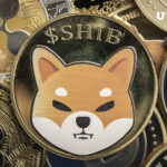 Shiba Inu’s Performance Indicates “Brutal” Bear Market, Bloomberg Analyst Says