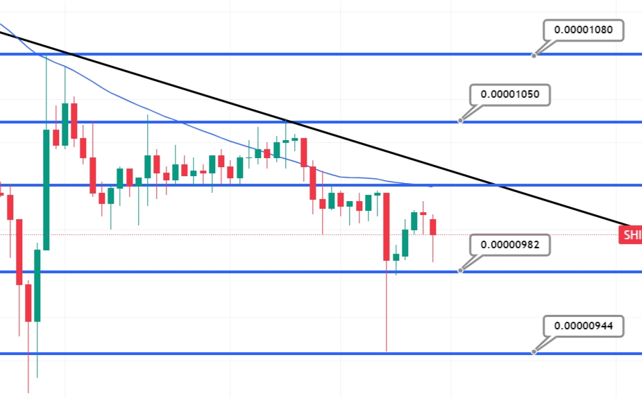 Shiba Inu Price Prediction – Can SHIB Overtake Dogecoin?